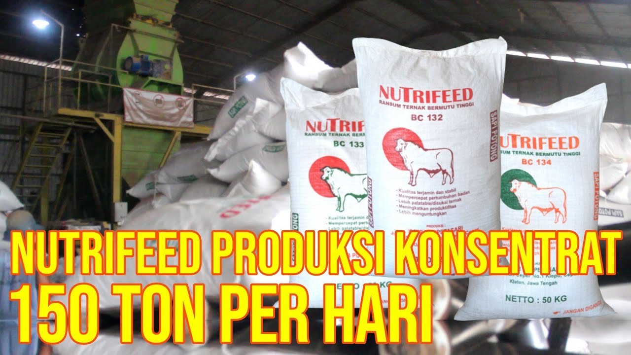 
                                 Konsentrat-Nutrifeed-Pakan-Sapi-Produksi-150-Ton-Perhari